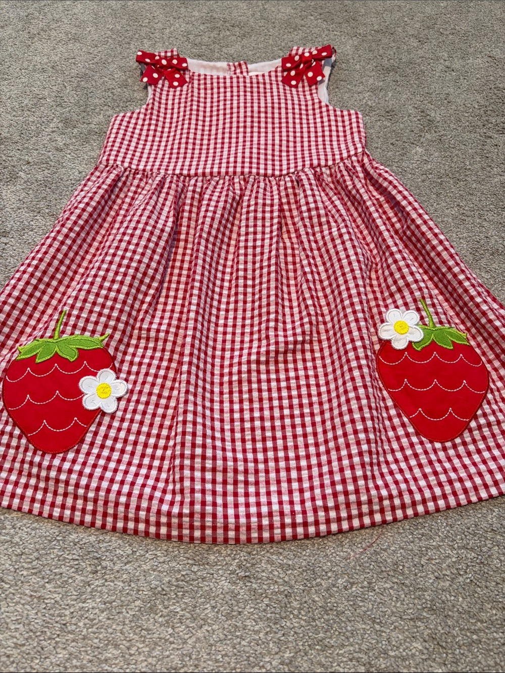 Counting Daisies Strawberry Dress